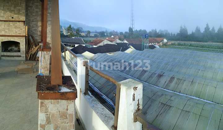 Gudang, Lahan Dan Kantor di Lembang, Bandung 1.710 M SHM 6