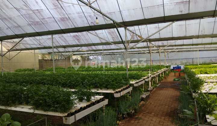 Gudang, Lahan Dan Kantor di Lembang, Bandung 1.710 M SHM 12