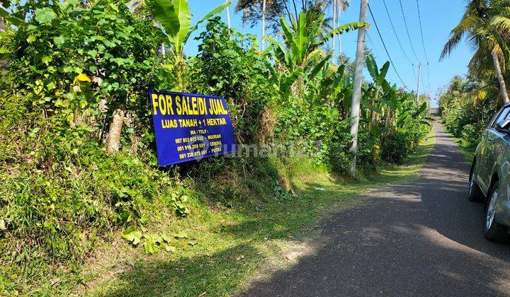 Tanah deket pintu keluar masuk Tol Denpasar-Gilimanuk dan Lokasi Paramount 1