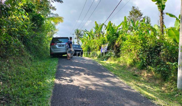 Tanah deket pintu keluar masuk Tol Denpasar-Gilimanuk dan Lokasi Paramount 2
