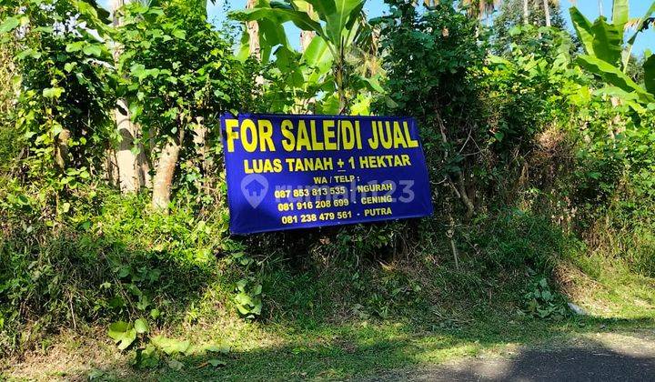 Tanah deket pintu keluar masuk Tol Denpasar-Gilimanuk dan Lokasi Paramount 3