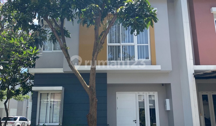 TERMURAH! Baru Developer Full Furnished Cluster Agnesi dekat UMN