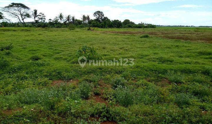 Jual Cepat Tanah Luas Siap Bangun di Legok Sukamaju Tangerang 1