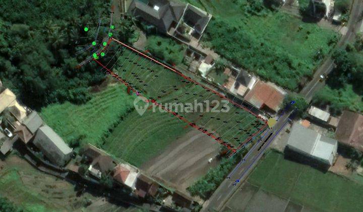 PRIME LAND BY MAINROAD FOR LEASE IN CANGGU Tanah Kontrakan 2