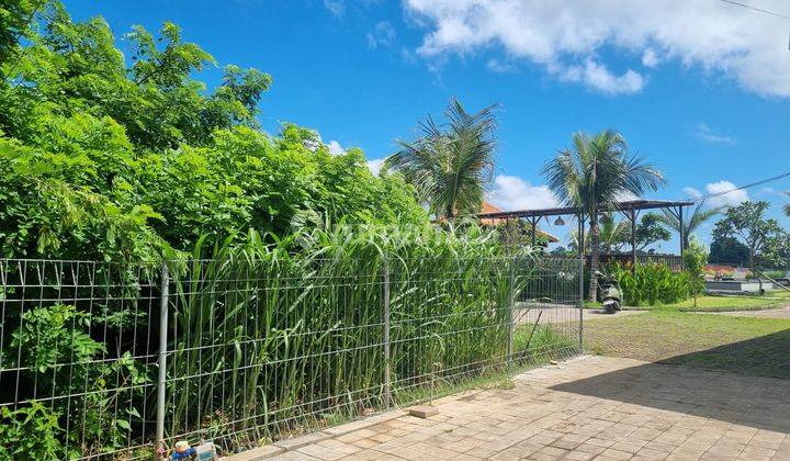 Rare Small Plot For Lease With Ocean View 2