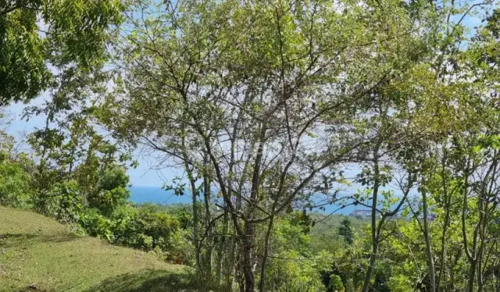 Ocean View Plot For Sale In The Heart Of Uluwatu 3