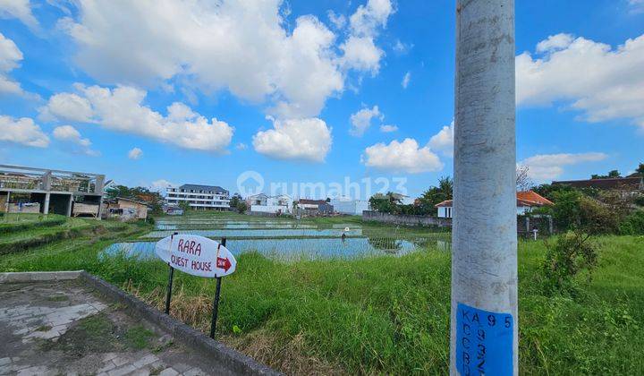 Beautiful Plot For Lease In Babakan Village canggu 2