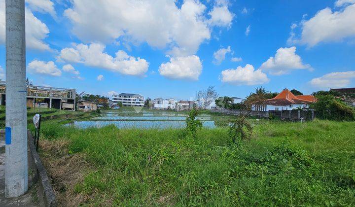 Beautiful Plot For Lease In Babakan Village canggu 1