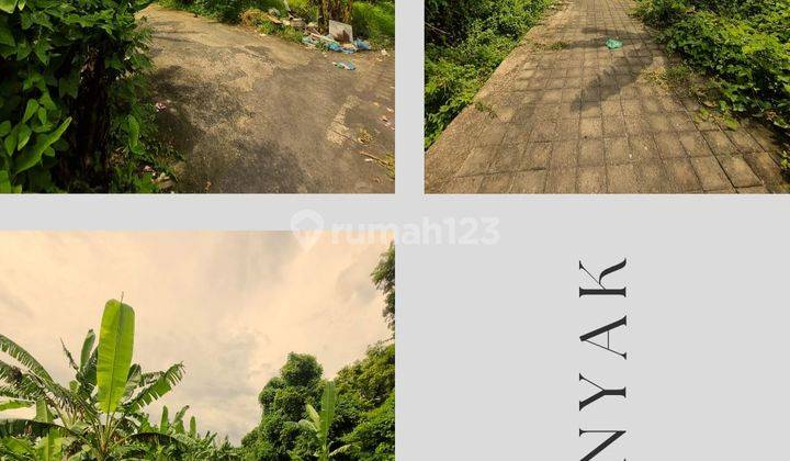 Rare Opportunity : Small Plot for Lease in Seminyak 1