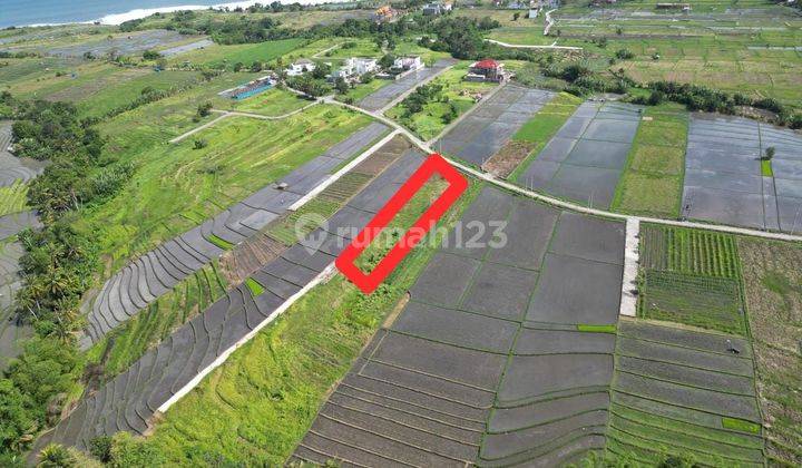 PREMIUM BEACHSIDE PLOT FOR LEASE NEAR CANGGU 2