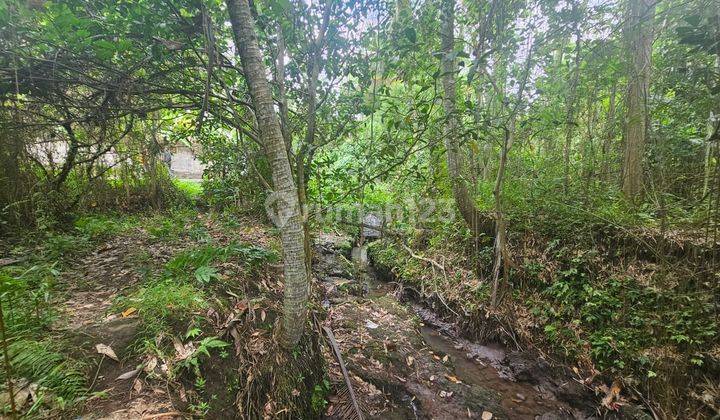 Small Plot.for Sale.near Ruster Cafe Ubud 2