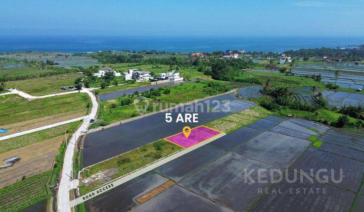 Premium Beachside Plot In Kedungu  1