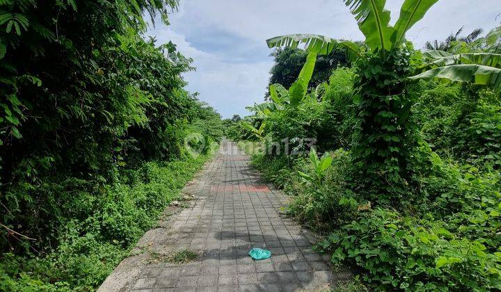 Rare Opportunity : Small Plot for Lease in Seminyak 2