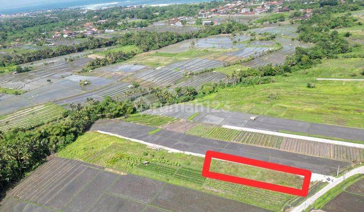 PREMIUM BEACHSIDE PLOT FOR LEASE NEAR CANGGU 1