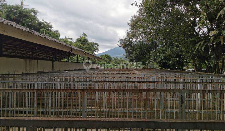 Dijual  Kandang anjing dan mess harga hitung tanah  4