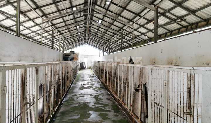 Dijual  Kandang anjing dan mess harga hitung tanah  11