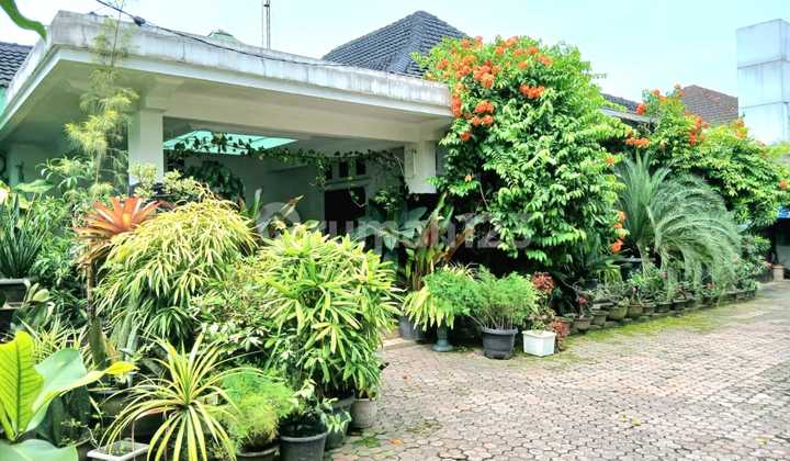 Dijual Villa Luas dan Asri Jl Abdullah Lubis Medan Baru