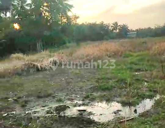 JUAL TANAH LOKASI TERLETAK DI PINGGIR JALAN 2