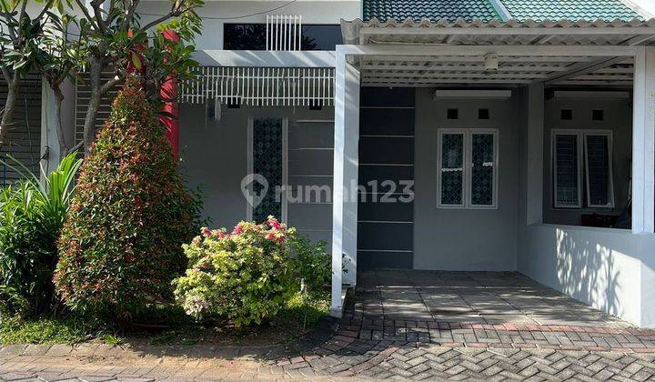 Disewakan Rumah 1 Lantai di Sukolilo Mulia  1