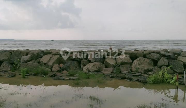 Dijual Tanah Dipanimbang Hanya 1 Km Dari Tol Serang-panimbang Lokasi Strategis Dijual Tanah Dipanimbang Hanya 1 Km Dari Tol Serang-panimbang Lokasi Strategis