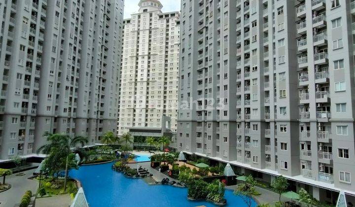 Apartemen royal Mediterania garden Bagus Furnished murah  2