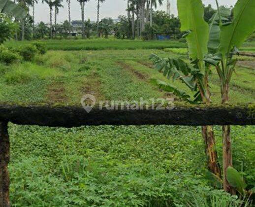  Tanah Strategis Muka 70 M di Semanan Kalideres Jakarta Barat Harga Nego Abis 1