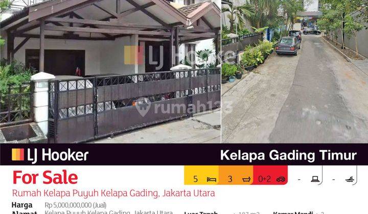 Rumah Kelapa Puyuh Kelapa Gading, Jakarta Utara 2