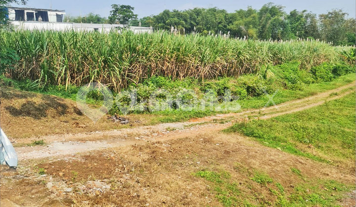 Raya Randuangung Plot Land, Singosari, Malang, East Java