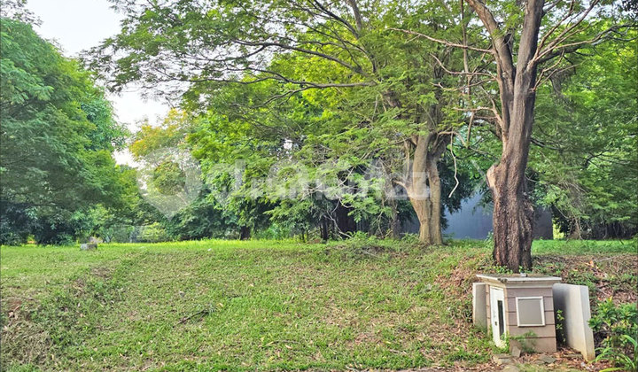 Kavling Tanah Royal Orchard, Kelapa Gading, Jakarta Utara Kavling Tanah Royal Orchard, Kelapa Gading, Jakarta Utara