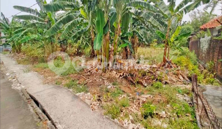 Tanah Kavling Paus Dalam Rawamangun, Pulo Gadung, Jakarta Timur