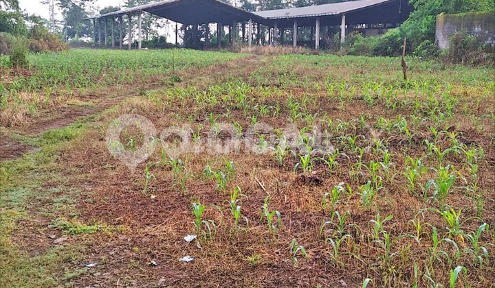 Ir Soebagiono Tjodrokusumo Polaman Land Plot, Mijen, Semarang, Central Java, Indonesia