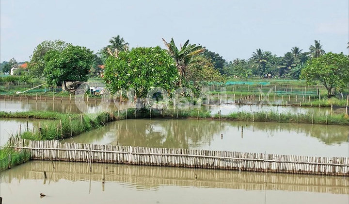 H. Usa Ciseeng Land Plot, Bogor, West Java