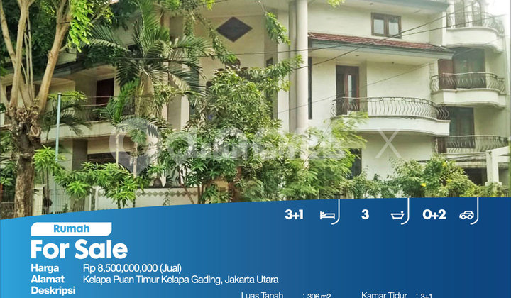 Rumah Kelapa Puan Timur Kelapa Gading, Jakarta Utara 2