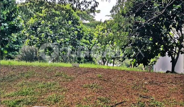 Kavling Tanah Royal Orchard, Kelapa Gading, Jakarta Utara