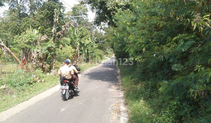 Jual tanah kebon dekat wisata kuda haji Gofur  1