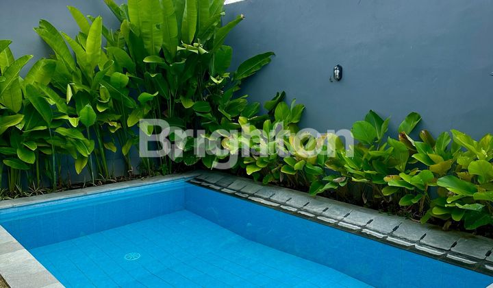 Villa Fully Furnsihed View Sawah Di Kerobokan Villa Fully Furnsihed View Sawah Di Kerobokan