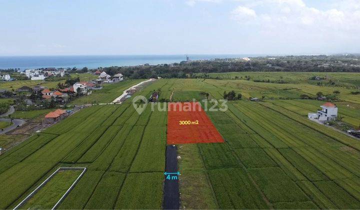 Tanah Strategis Didekat Canggu Jalan Kaki ke Pantai Cemagi Badung 1