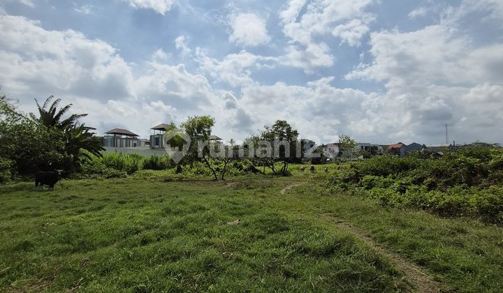 Exclusive Beach Front Land At Ketewel Beach Exclusive Beach Front Land At Ketewel Beach