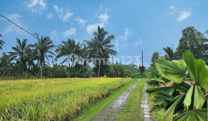 Villa Luas Loss Sungai View Gunung & Sawah Di Area Tabanan Bali 2