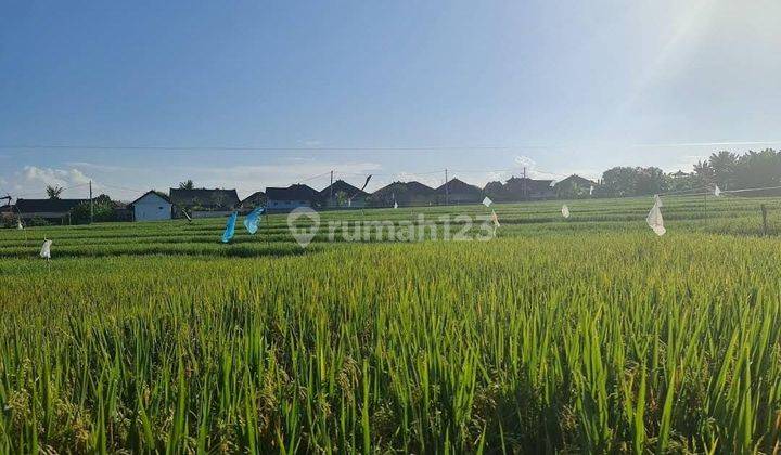 Beautiful Villa With Mountain And Rice Field View In Canggu 2