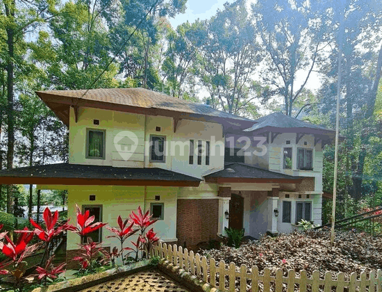 Dijual Villa Eksklusif di Puncak Fully Furnished