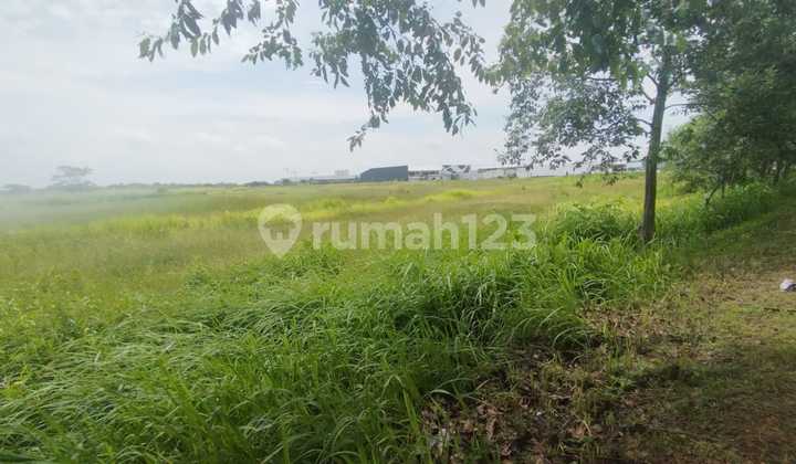 For Sale / Rent Commercial Plot of Land at Thamrin PIK 2 Strategic Location Near Toll Gate
