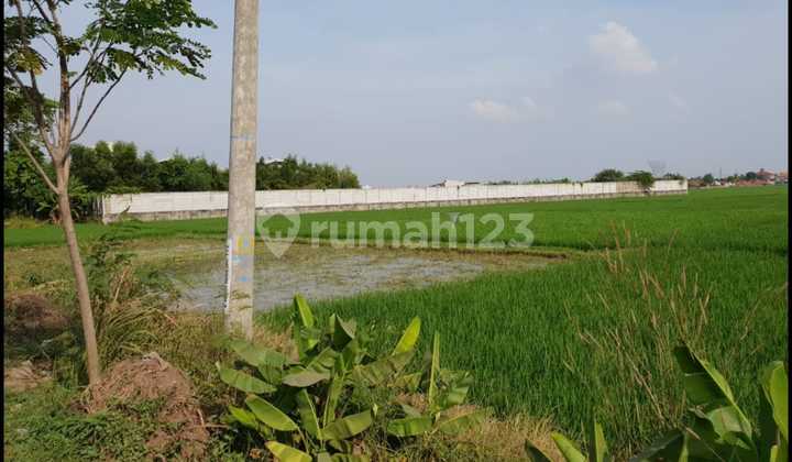 Tanah Komersil Siap Pakai di Karawang Barat Jawa Barat Tanah Komersil Siap Pakai di Karawang Barat Jawa Barat