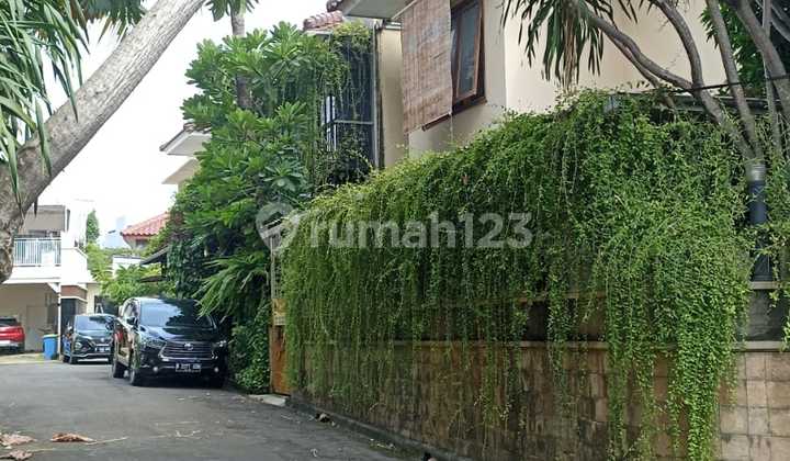 Townhouse Posisi Hook With Private Pool di Pejaten Barat Jakarta Selatan Townhouse Posisi Hook With Private Pool di Pejaten Barat Jakarta Selatan