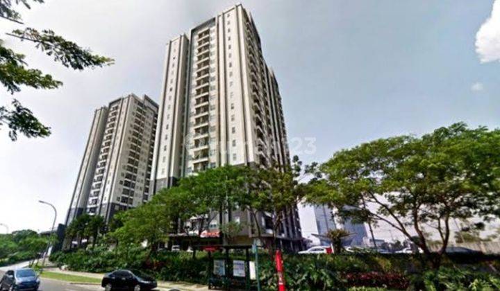 Apartmen 1br Silkwood Maple Alam Sutra Deket Binus 1