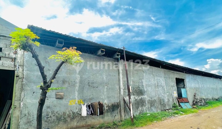 Jual Cepat, Gudang Strategis di Gunung Anyar, Surabaya 2