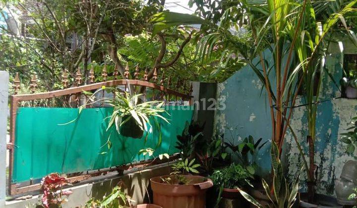 Lepas Murah Rumah Di Paradise Serpong City Shm Hadap Utara  2