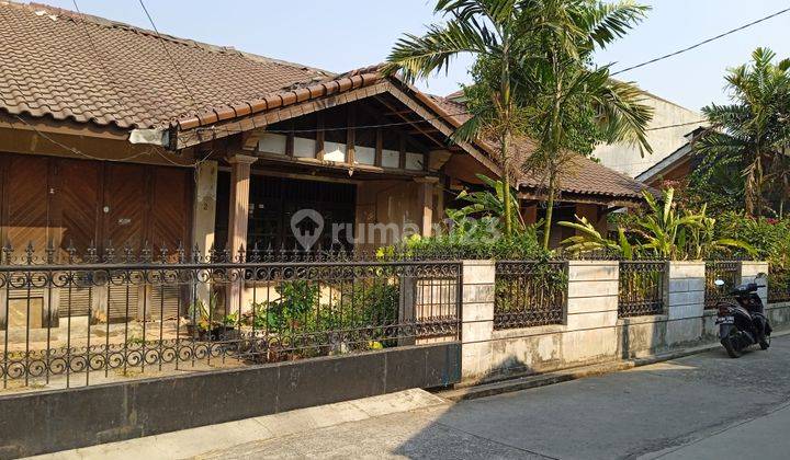 Rumah satu lantai pekarangan sngat luas  1