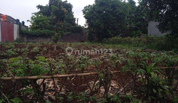 Lahan Kosong yg sangat cocok buat property dan Rumah Tinggal  2