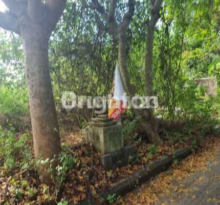 Tanah Kavling Bali Arum Jimbaran Tanah Kavling Bali Arum Jimbaran